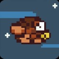 Nighty Owl加速器