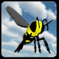 Bumble Run