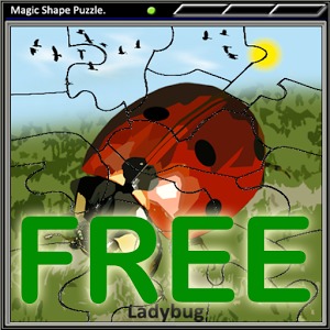 Magic Shape Puzzle Free加速器