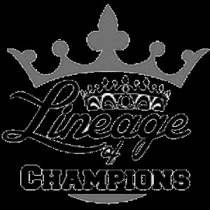 Lineage of Champions加速器