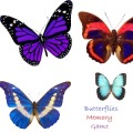 Butterflies Kids Memory Game