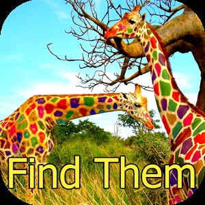 Photo Hunt Animal Game加速器