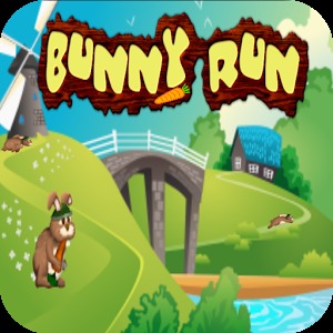 Bunny Run 2D加速器