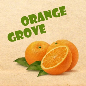 Orange Grove Test加速器