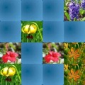 Memory game - Flowers