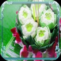 Loy Krathong Festival Jigsaw