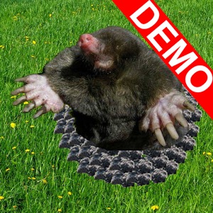 Lawn Demo加速器