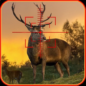 Deer Hunting Quest加速器