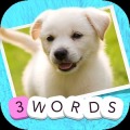3 Words: Cute Animals