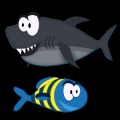 Fish'n Shark