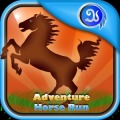 Adventure Horse Run
