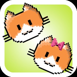Cat Flowy加速器