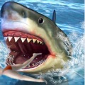 Attack Sharks