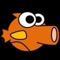Bad Fin