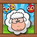 Bouncing Sheep