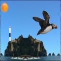 Flying Puffin加速器
