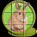 Bunny Puzzle