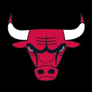 Chicago Bulls加速器
