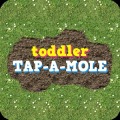 Toddler Tap-A-Mole
