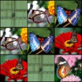 Memory Pro