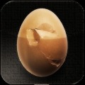 Best Tamago