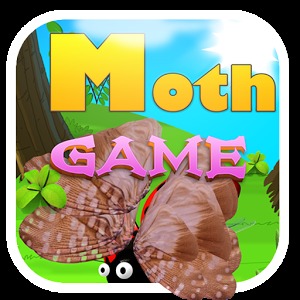 Moth Game加速器