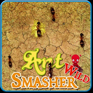 ANT Smasher Game加速器