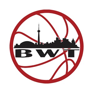 Basketball World Toronto加速器