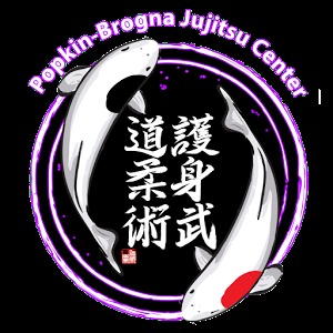 Popkin-Brogna Jujitsu Center加速器