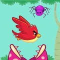 Pancho Bird