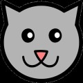 Cat Fall Down