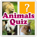 Animals Quiz