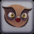 Flying Owl Run