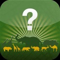 Card flip - Africa