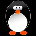Leaping Jump Penguin