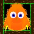 Fluffy lil Birdie