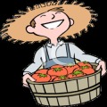 Fruits Quest