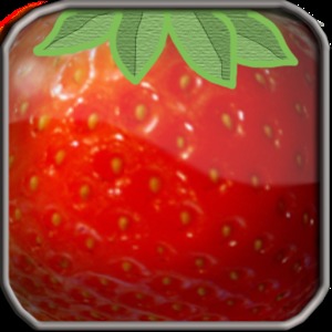 Fruits Bricks加速器