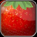 Fruits Bricks