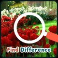 Find Differences Garden加速器