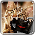 Jigsaw Puzzles Cats加速器
