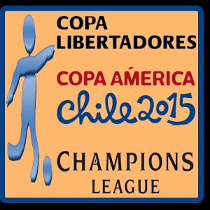 Copa Sudamericana 2014加速器