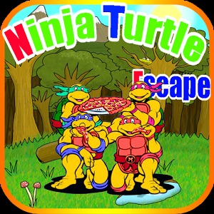 Ninja Turtle Escape加速器