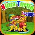 Ninja Turtle Escape