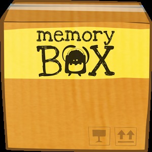 Memory Box加速器