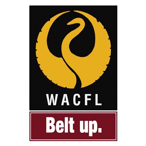 WACFL加速器