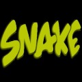 Snake (Direction & Joystick)加速器