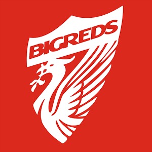 BIGREDS Magazine (Beta)加速器