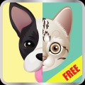 Dog Breed, Cat Breed Quiz