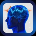Flexible Brain